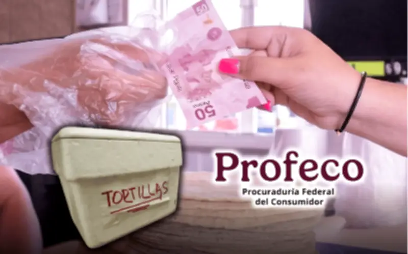 Profeco aclara su rol: no multa por tortillas en hieleras, sí vigila precios y calidad