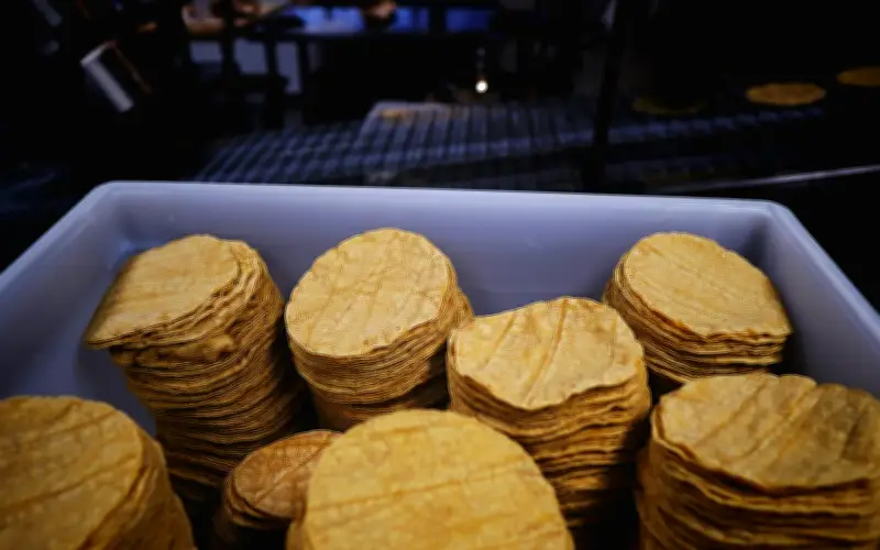Profeco alerta sobre el peligro de comprar tortillas almacenadas en hieleras sin ventilación