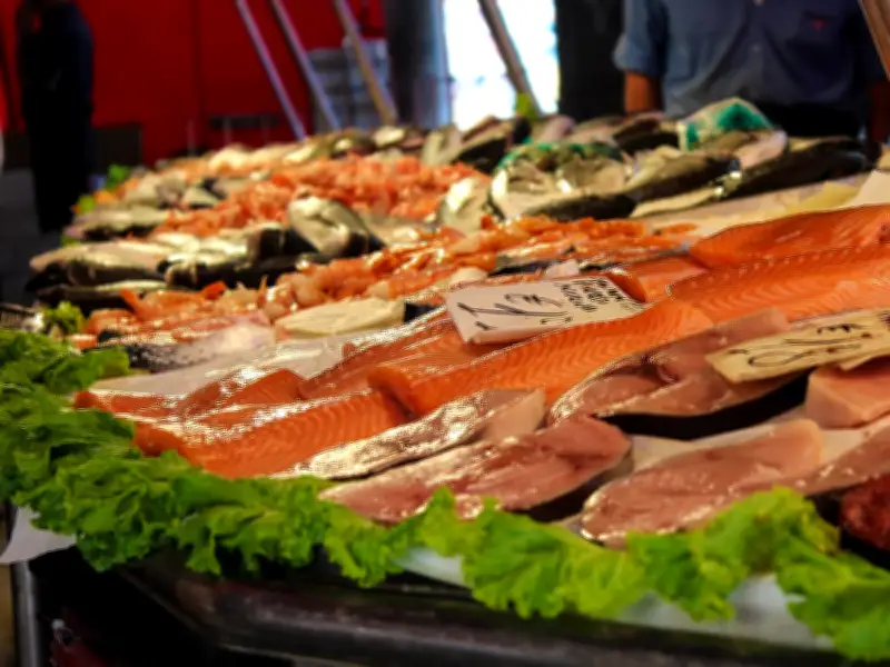 Profeco reporta precios de pescado por debajo de $110 en Cuaresma tras monitoreo nacional