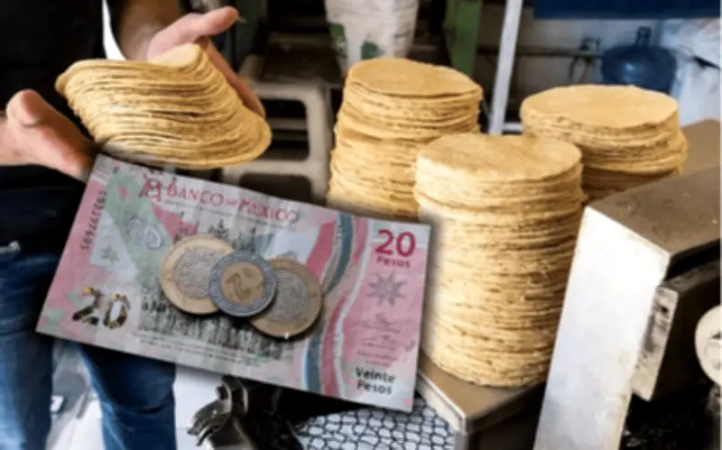 Profeco revela el precio promedio de la tortilla en Guadalajara y México tras aclaración