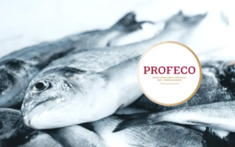 Profeco revela lista de pescados accesibles por menos de 110 pesos para Cuaresma 2026