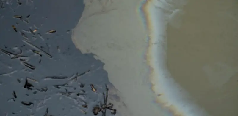 Profepa, ASEA y Pemex evalúan daños por derrame de crudo en Veracruz y Tabasco