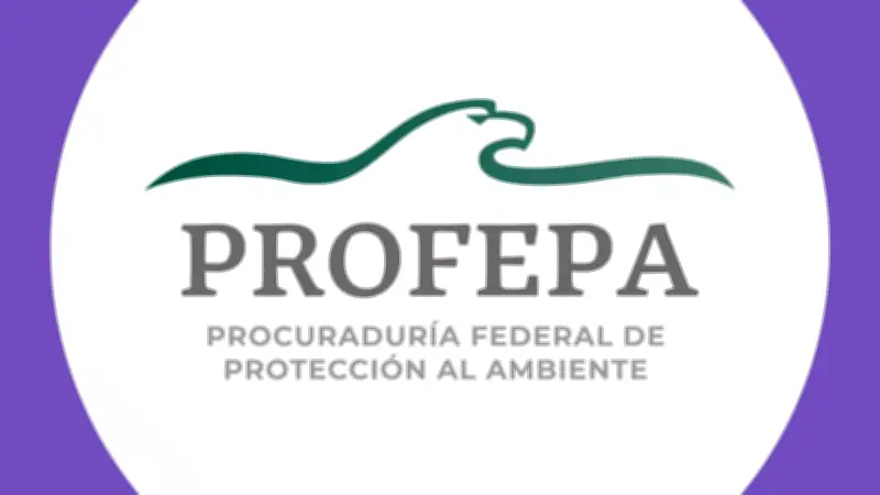 Profepa clausura 4 pozos en Cuatro Ciénegas por daños ambientales en ecosistema protegido