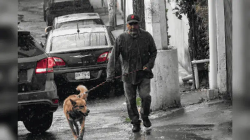 Pronóstico del SMN: Lluvias en 18 estados y calor intenso para este domingo