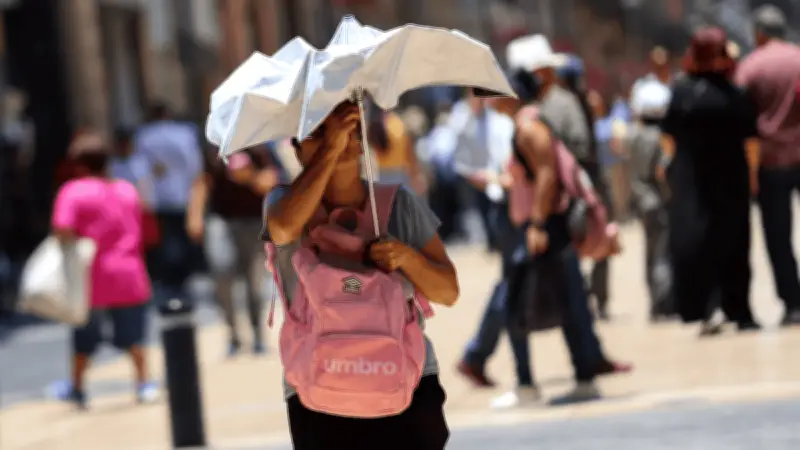 Pronóstico para Culiacán: Día despejado con 31°C y vientos moderados el 10 de marzo
