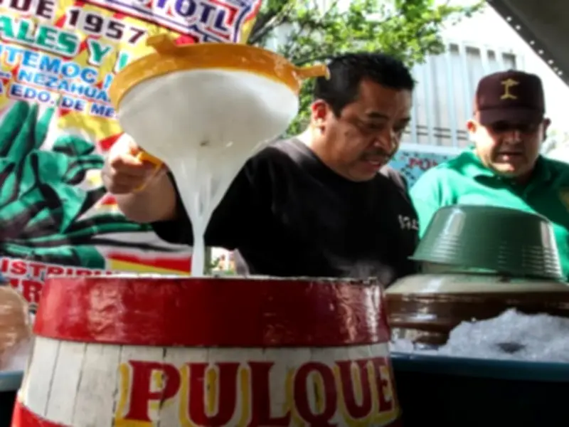 PT busca reconocimiento legal para pulquerías tradicionales en CDMX