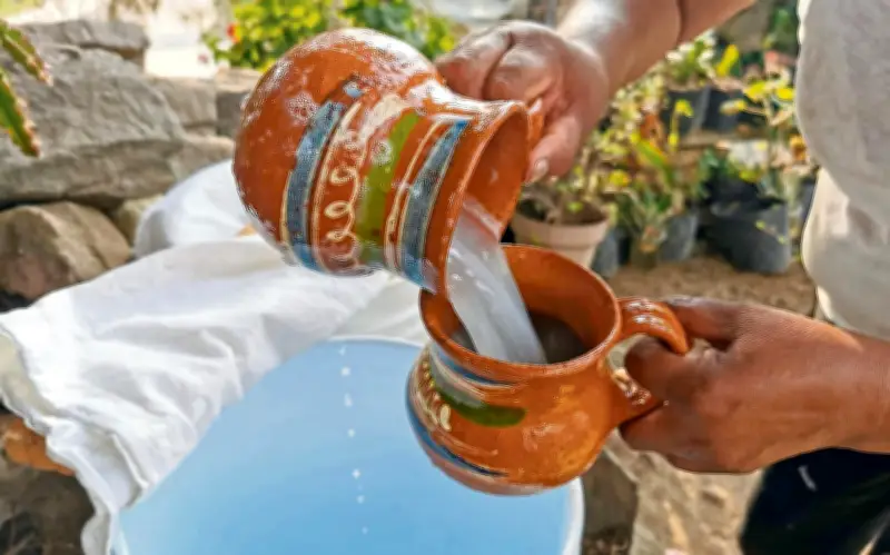 Pulque: El Elixir Milenario Mexicano que Conquista Ciencia y Paladares Modernos