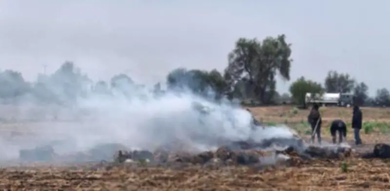 Rayo causa incendio, lesiona a tres personas y mata a una vaca en Hidalgo