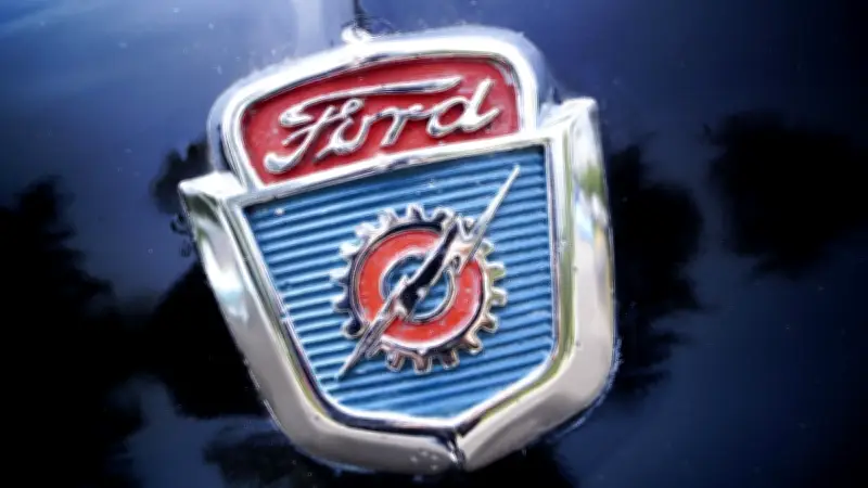 Recuperan flotilla de autos clásicos robados en autopista Veracruz-Puebla