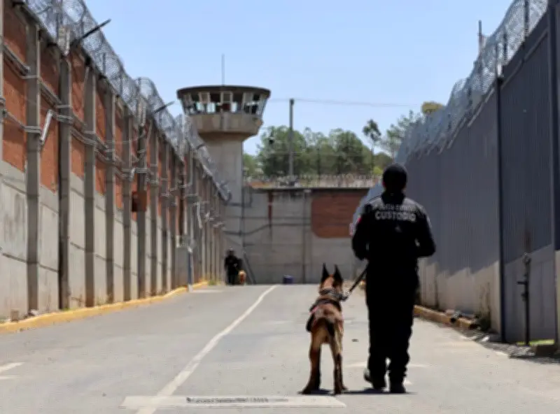 Reos de Tepexi denuncian hambre, maltrato y abandono en cárcel poblana