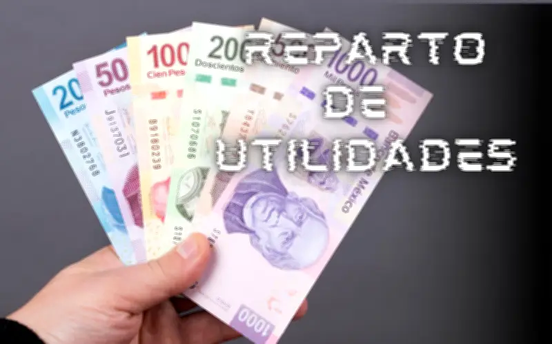 Reparto de utilidades en México 2026: derechos, cálculo y plazos de pago