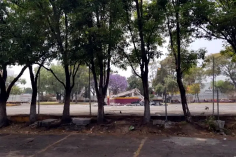 Reportan que obras de Utopía en Parque Japón no han dañado los árboles