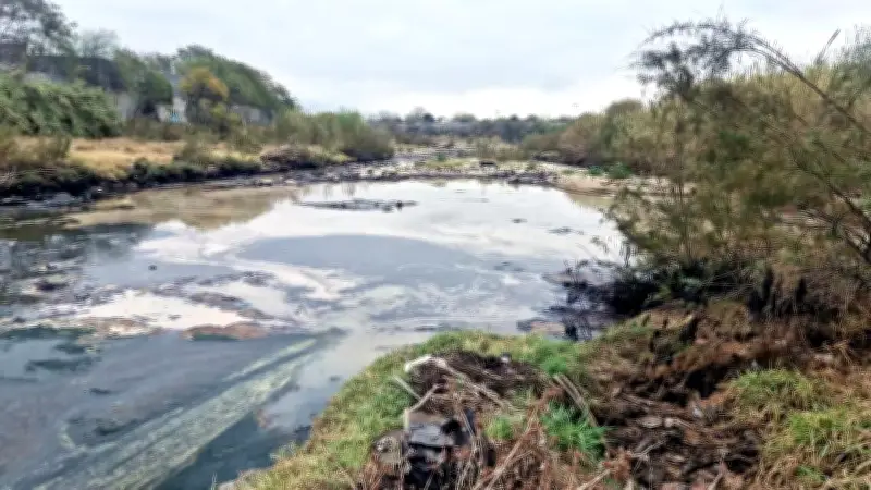 Residuos industriales contaminan gravemente el río Pesquería en Nuevo León
