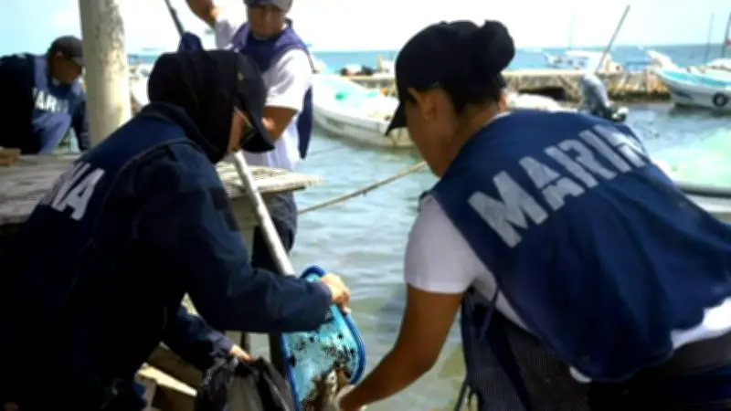 Retiran 128 toneladas de crudo en el Golfo de México tras derrame petrolero