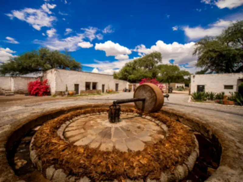 Ruta del Mezcal en Guanajuato: Un Viaje Sensorial por los Paisajes del Agave
