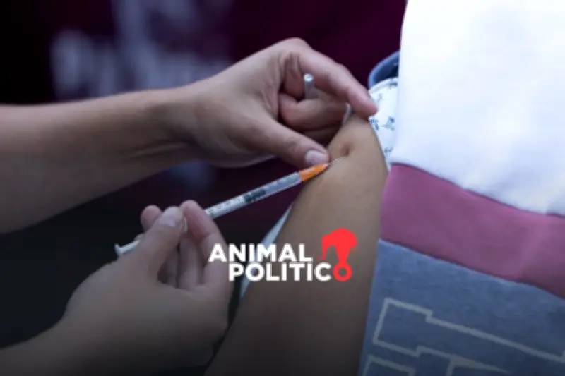 Sarampión en México: Aumentan casos y se refuerza campaña de vacunación nacional