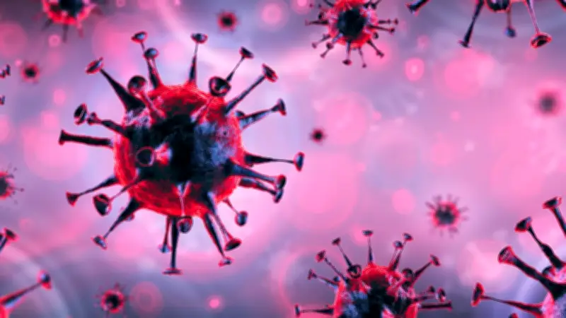 Sarampión en México: Confirman segunda muerte en Jalisco y suman 6 fallecimientos en 2026