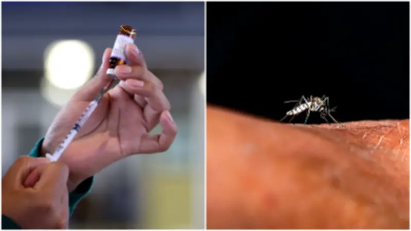 Sarampión y dengue mantienen brotes activos en México; autoridades detallan síntomas y prevención