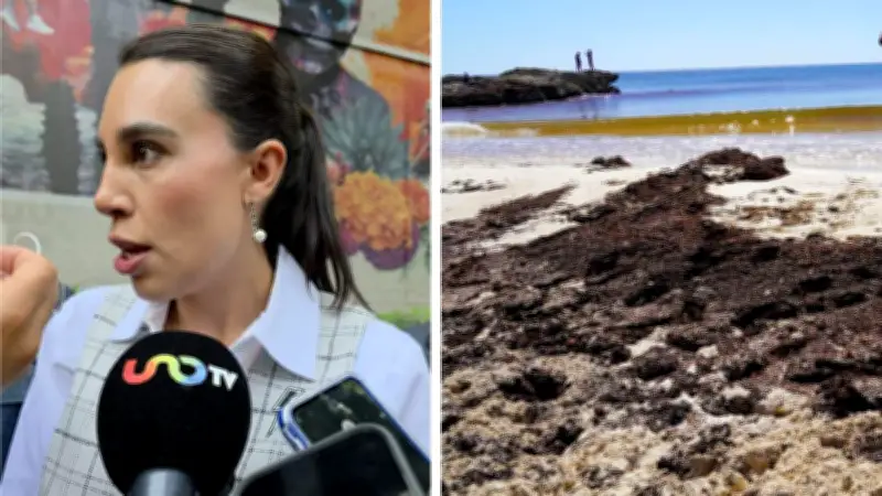 Sargazo arriba antes a Quintana Roo; activan protocolos para Semana Santa