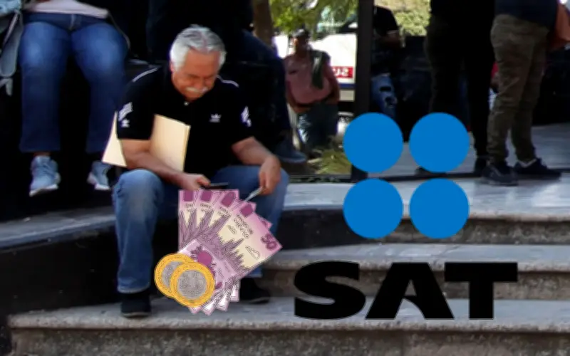 SAT: Guía completa para identificar tu régimen fiscal ante la Declaración Anual