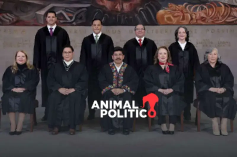 SCJN: Seis meses de iniciativas y protestas en la Suprema Corte de Justicia