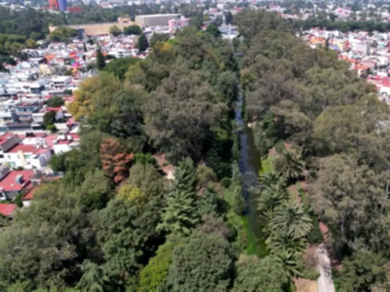 Sedema organiza jornada ambiental por el Día de la Mujer en áreas naturales de CDMX