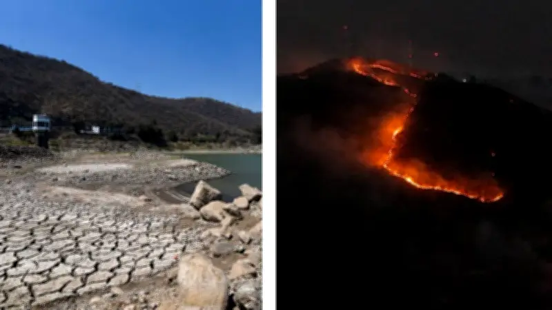 Sequía afecta casi 7% de México mientras incendios forestales se disparan por altas temperaturas