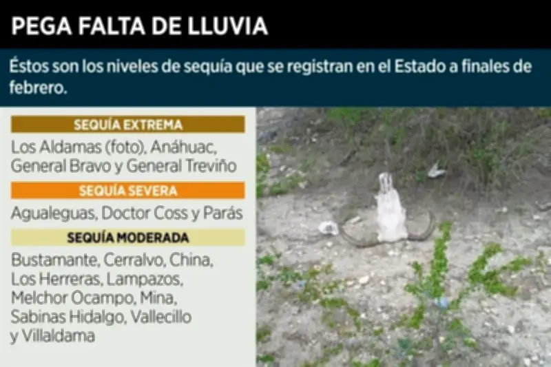 Sequía se intensifica en municipios rurales de México, afectando cultivos y abasto de agua