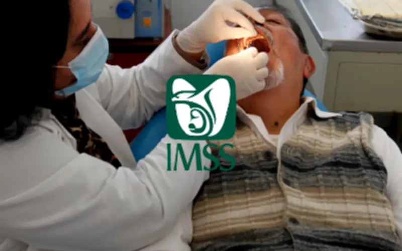Servicios dentales del IMSS: ¿Qué cubre y cómo agendar una cita?