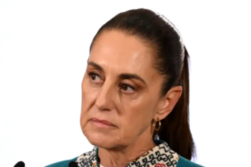 Sheinbaum anticipa apertura gradual de frontera por control de gusano barrenador