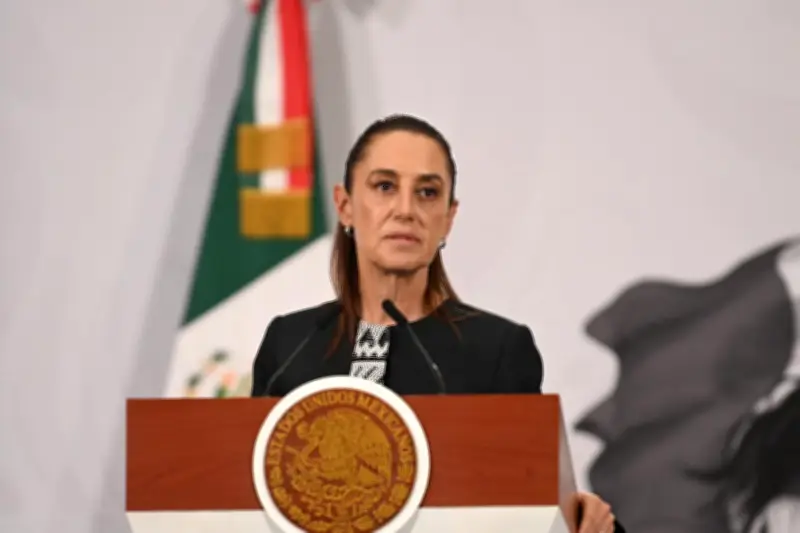 Sheinbaum descarta demanda contra Elon Musk tras acusaciones de vínculos con cárteles