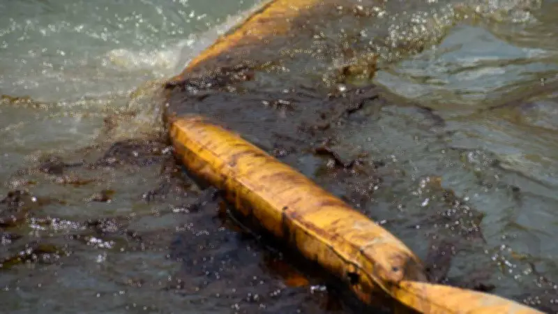 Sheinbaum exonera a Pemex de derrame en Veracruz y Tabasco; FGR indaga buque privado