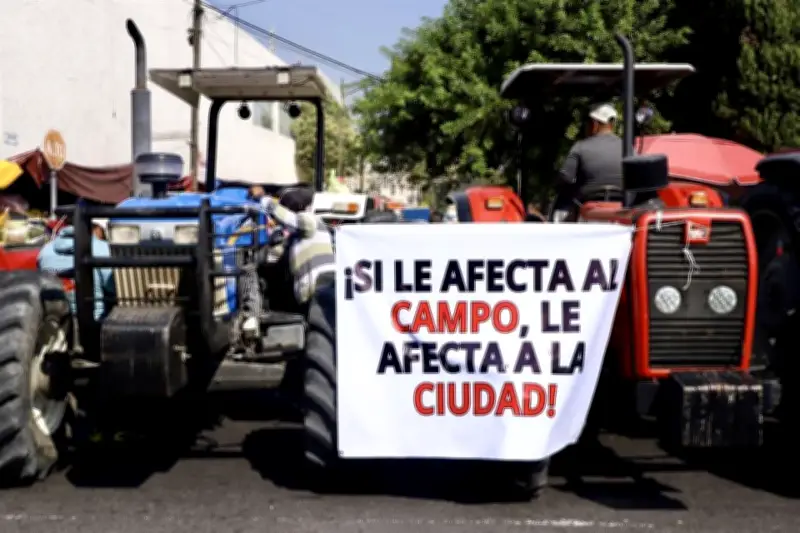 Sheinbaum niega incumplimiento de apoyos al campo, asegura compromiso con agricultores