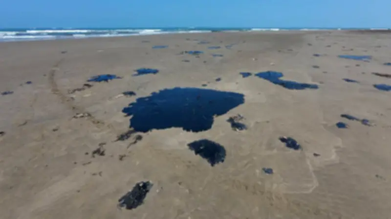 Sheinbaum ordena grupo interdisciplinario para investigar derrame de hidrocarburo en Golfo de México