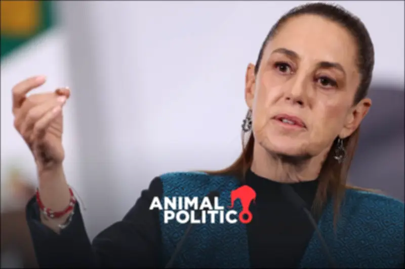 Sheinbaum presenta estrategia para enfrentar la crisis de desapariciones en México