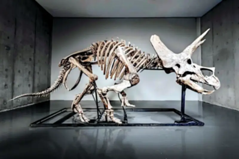 Subastarán esqueleto de Triceratops en Estados Unidos por millones de dólares