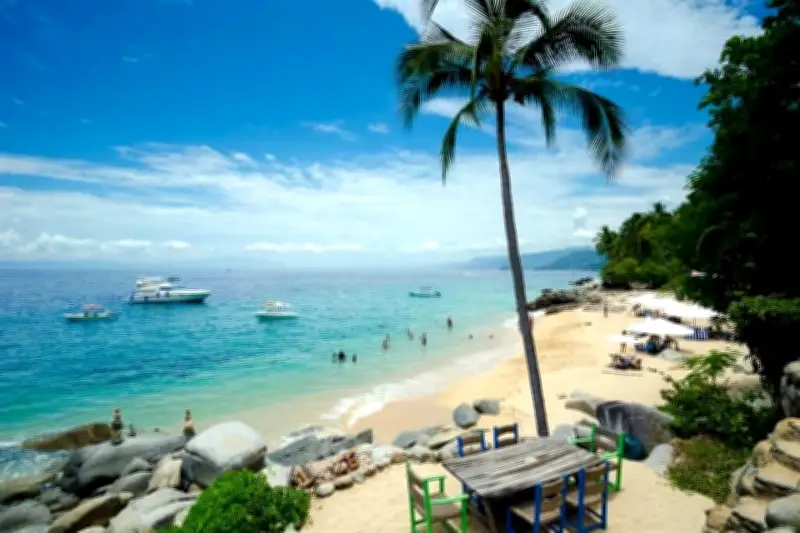 Suspenden Cruceros en Puerto Vallarta por Ola de Violencia en Jalisco