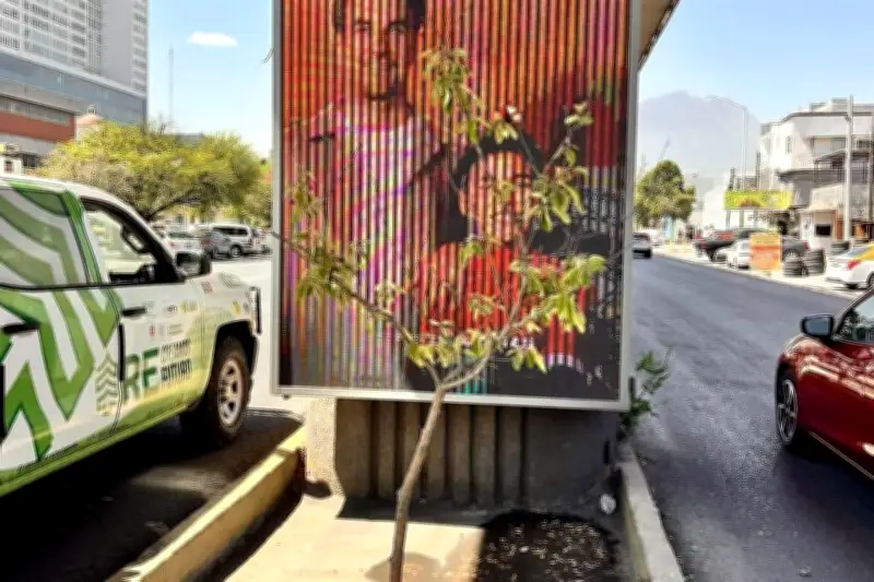 Sustituyen árbol histórico que fue talado frente a pantalla gigante en Monterrey