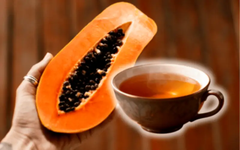Té de Semillas de Papaya: Beneficios Digestivos y Cómo Prepararlo Correctamente