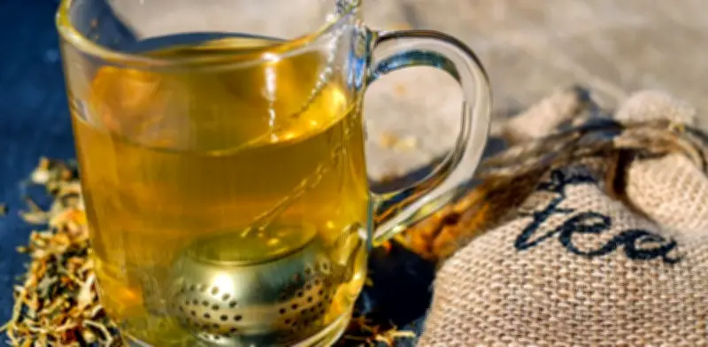 Té verde mejora memoria y razonamiento en niños con trastorno alcohólico fetal