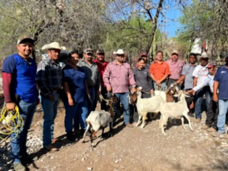 Tamaulipas evalúa sementales caprinos para mejorar productividad y genética