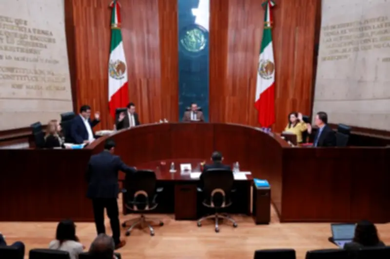 TEPJF revoca sanción a Emma Zermeño: mensajes privados no son violencia política de género