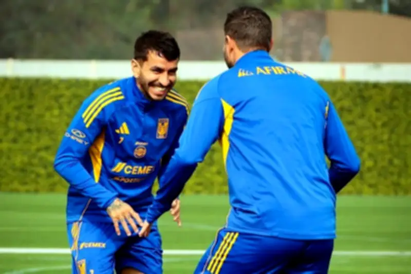 Tigres Busca Triunfo en Puebla para Ganar Confianza Antes del Clásico