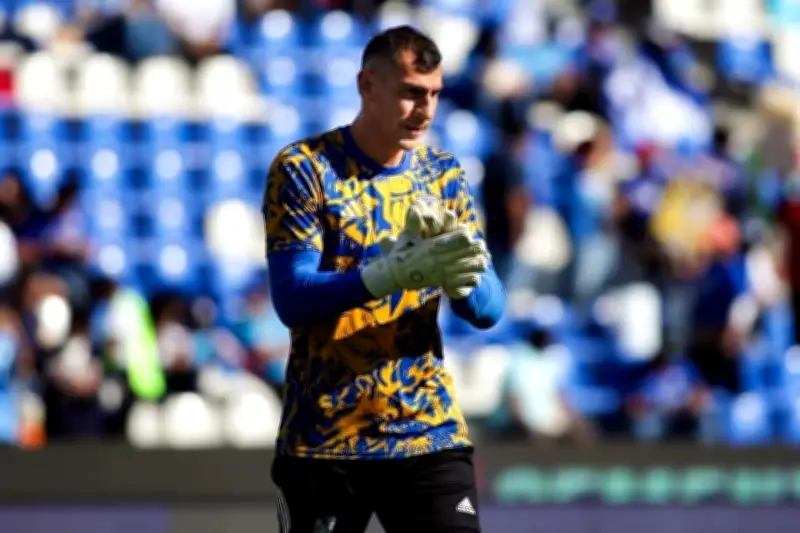 Tigres UANL: ¿Qué versión del equipo veremos hoy en el campo de juego?