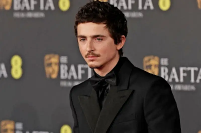 Timothée Chalamet pierde impulso en la carrera hacia el Oscar, según análisis