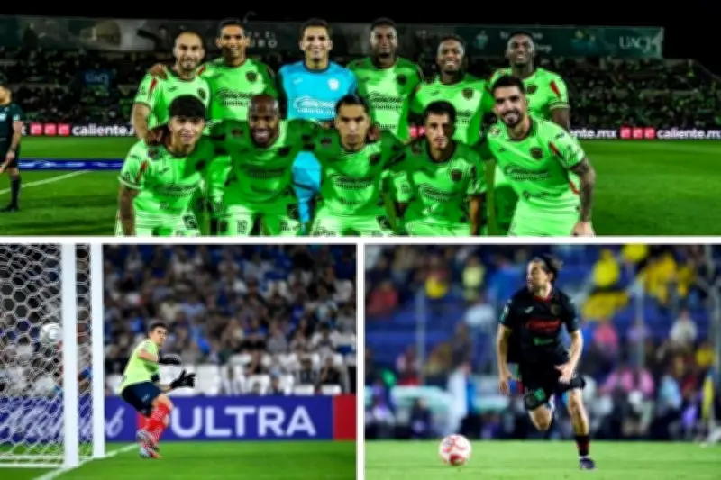 Todo lo que debes saber sobre el Clásico Bravos vs Rayados en la Liga MX