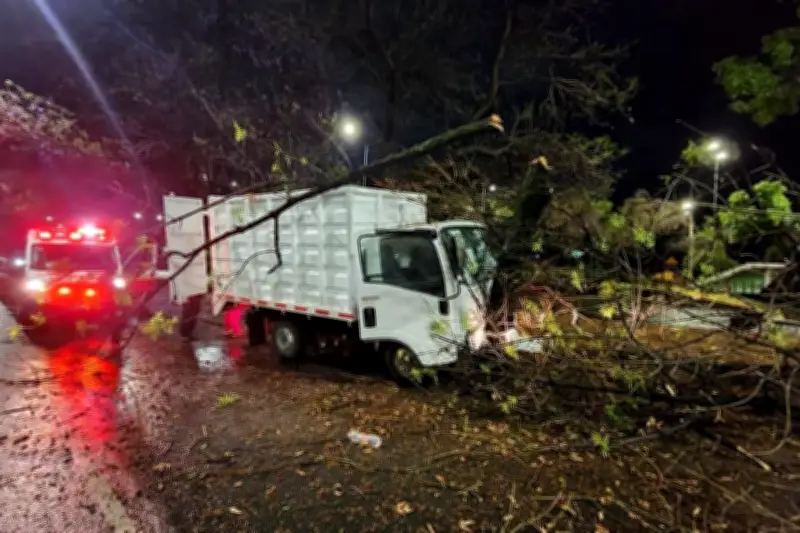 Trabajadores de la construcción exigen mayor seguridad en obras de infraestructura