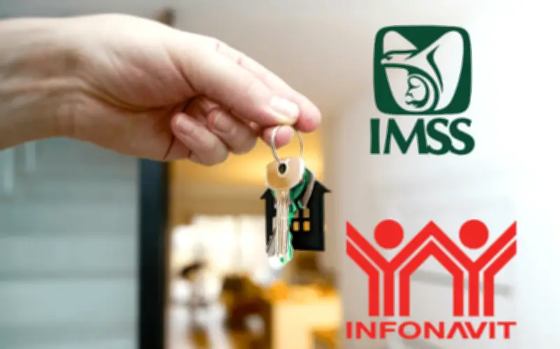 Trabajadores Independientes: Cómo Acceder a un Crédito Infonavit Paso a Paso