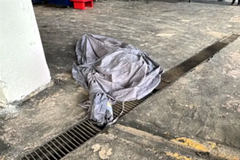 Tragedia en el estadio: aficionado muere tras caída desde segundo piso en estado de ebriedad