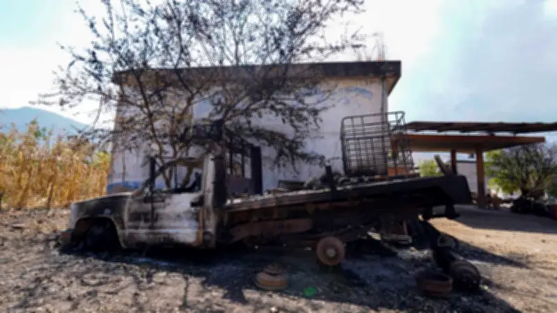 Tras la caída del 'Mencho', experto alerta sobre una nueva generación de narcotraficantes más sofisticada